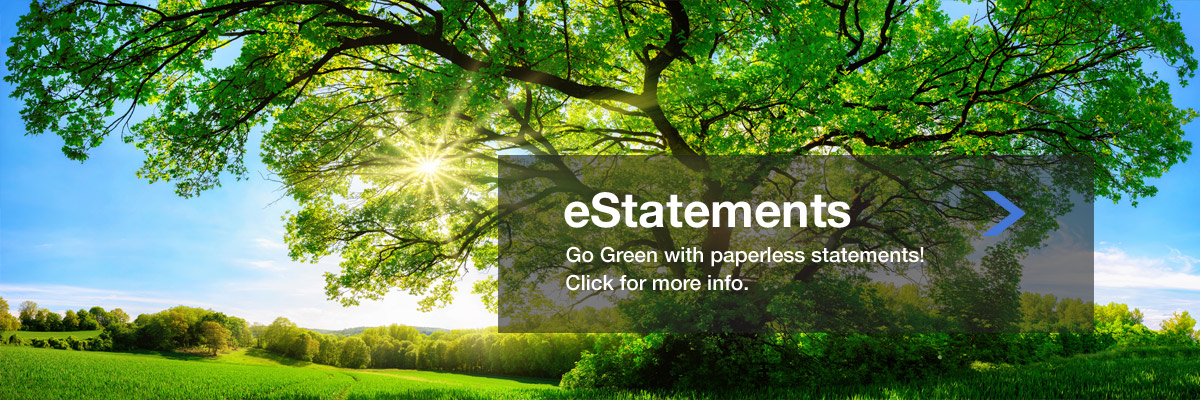 Banner eStatements